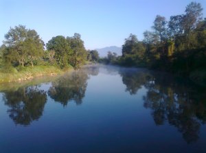 Silence at Bellinger river, Bellingen, NSW. 