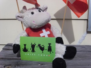 swiss yoga