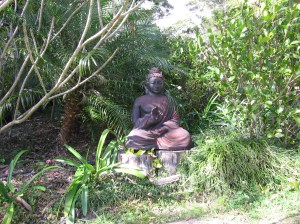 IMG_7860_Buddha statue in the beautiful garden at Santosha
