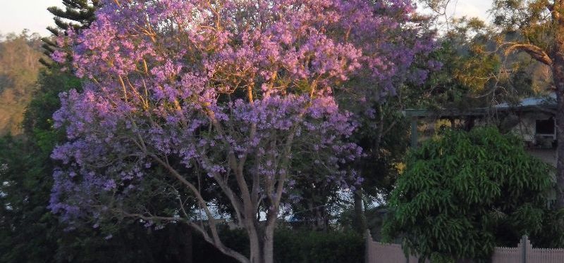 use of the&nbsp;mind