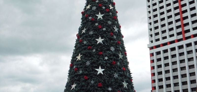 Christmas / Summer&nbsp;Break