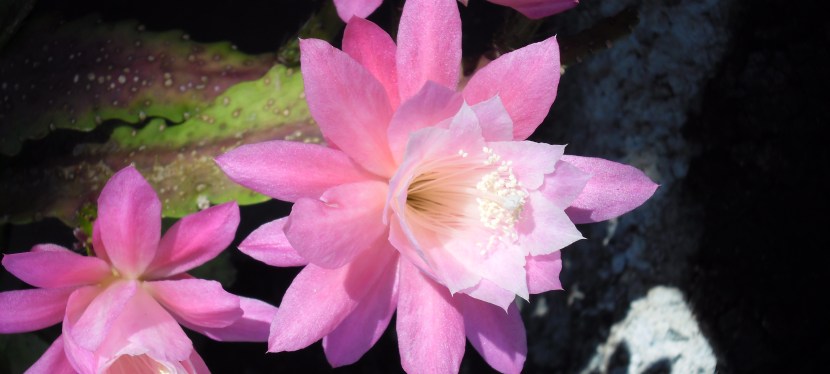 Thoughts create your&nbsp;reality