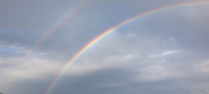 Nature is a&nbsp;Miracle