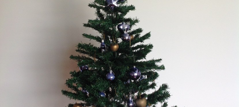 Christmas Break until&nbsp;11/01/16