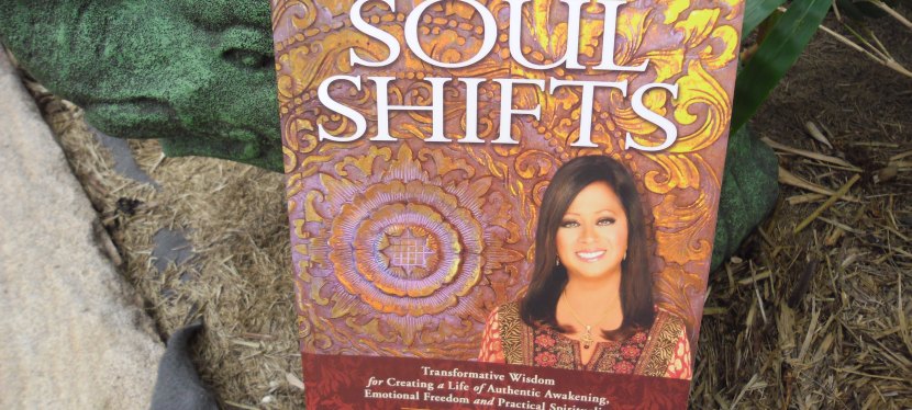Soul Shifts
