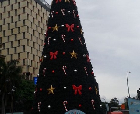 Christmas Break 2016