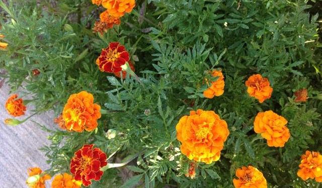 Yoga to support an Indian Orphanage – Saturday&nbsp;26/10/19