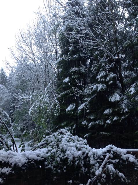 snow in April 2017 photo 2