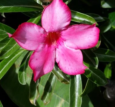 Easter / Anzac day&nbsp;break