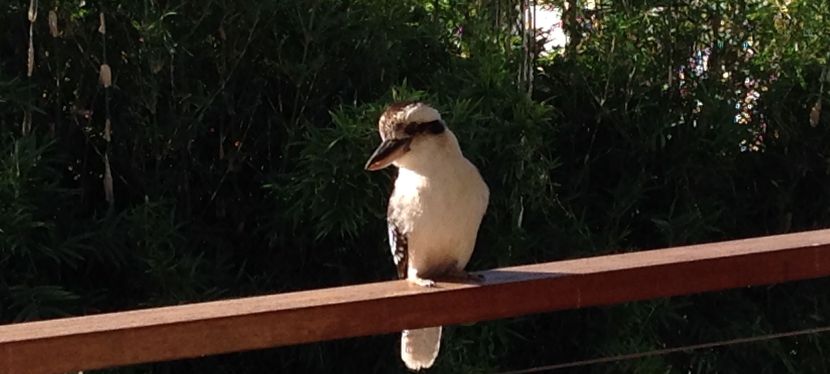 Early Bird 6am Yoga&nbsp;class