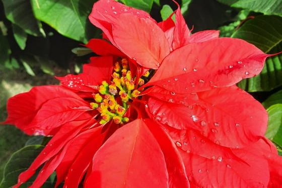 July 2021 Yoga Classes&nbsp;Info